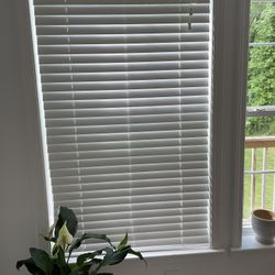 2 inch White Faux Wood Blind