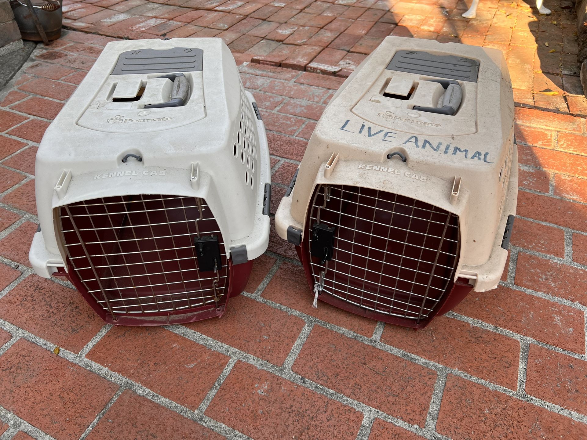 Small Kennel