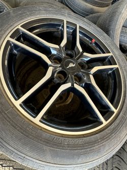 Mustang Wheel And Tire