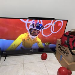 Vizion 70 Inch Tv With Mount Wall