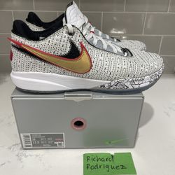 Nike Lebron 20 The Debut size 11