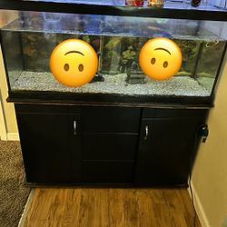 Fish Tank 75Gallons… best Offers(everything Included To Set It Up Right Away)