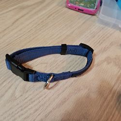 Breakaway Cat Collar Never Used 