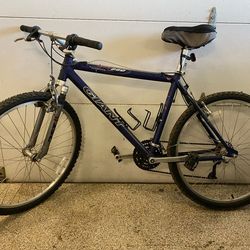 Giant Mountain Bike