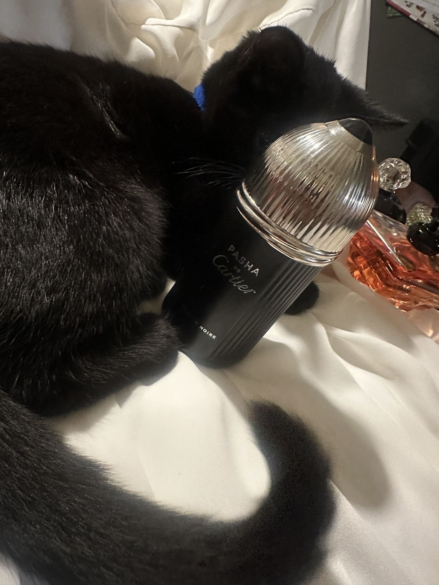 Pasha Cartier 3.4 Oz