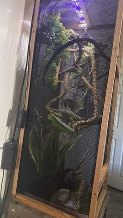 Used Chameleon Enclosure