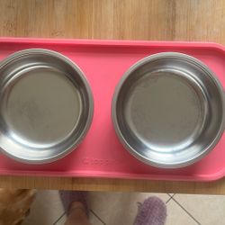 Metal Dog Dishes With Mat