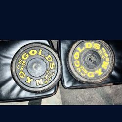 Gold Gym Weighs 25 LB
