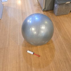 Fitness Ball with Pump 20-inch Diameter