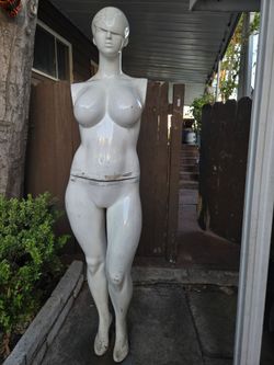 Maniquin