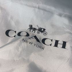 Disney Coach Bag