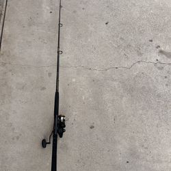 Brand New- Daiwa BG Surf Spinning Combo