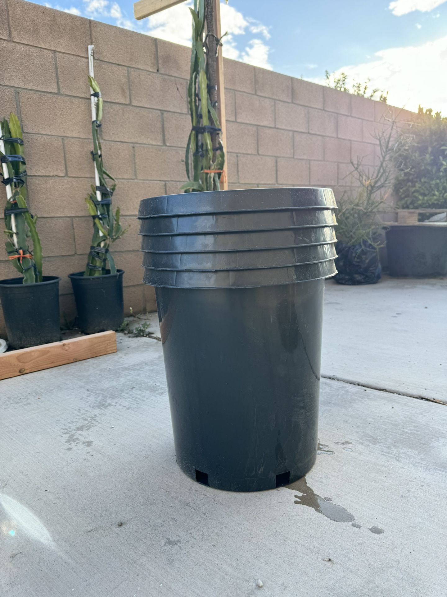 15 Gallon Nursery Container/pot