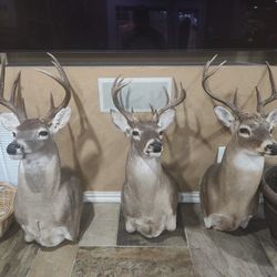 Man Cave Decor 