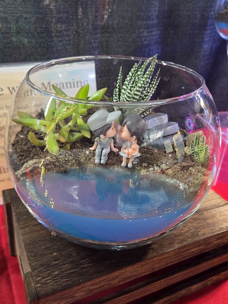 Embellished Succulents Planter with Live Succulents