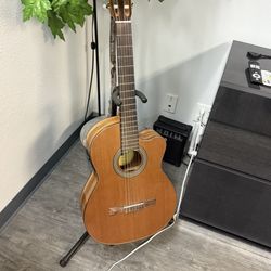 Lucero 235 Acoustic Guitar