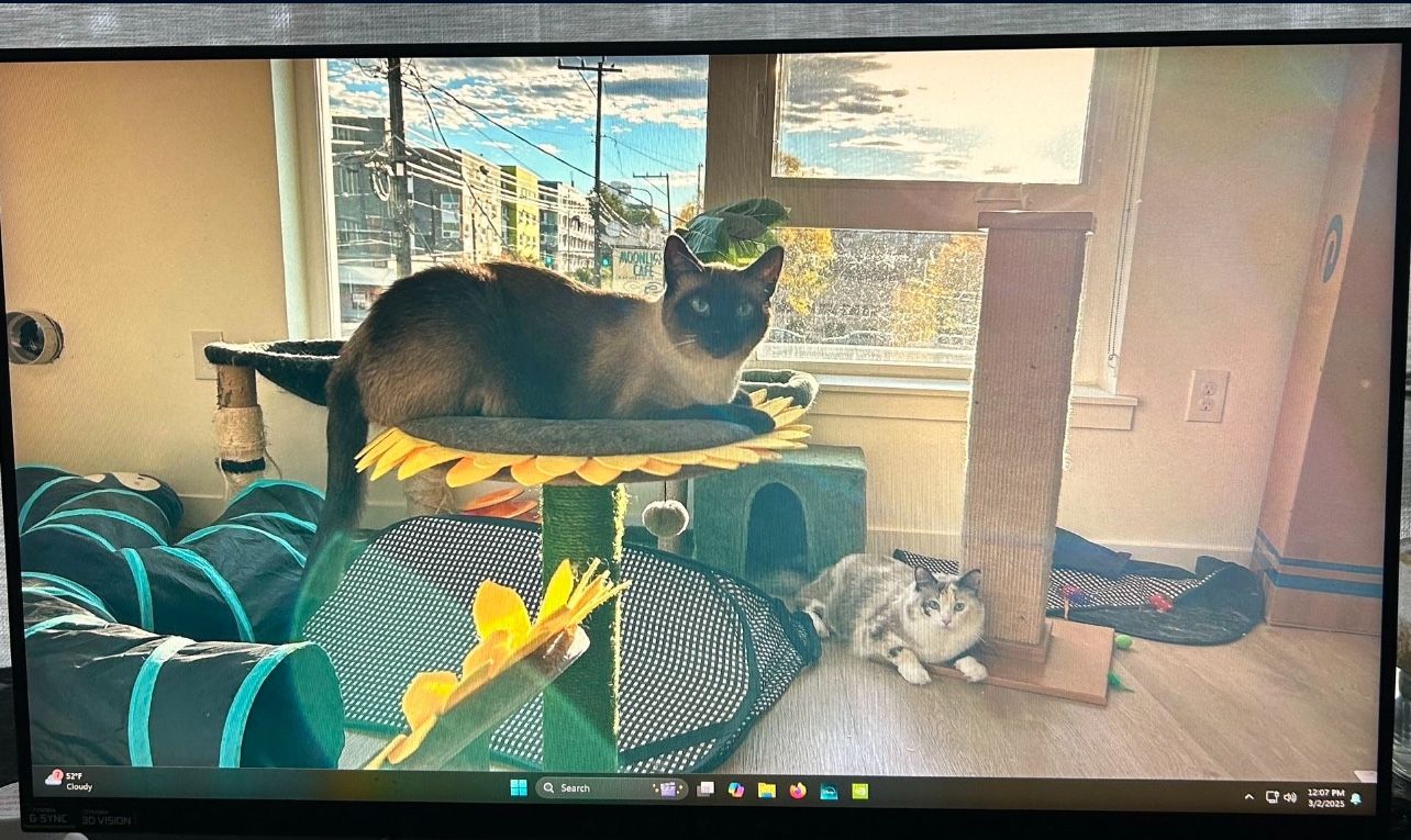 Alienware 1080p 240hz Monitor
