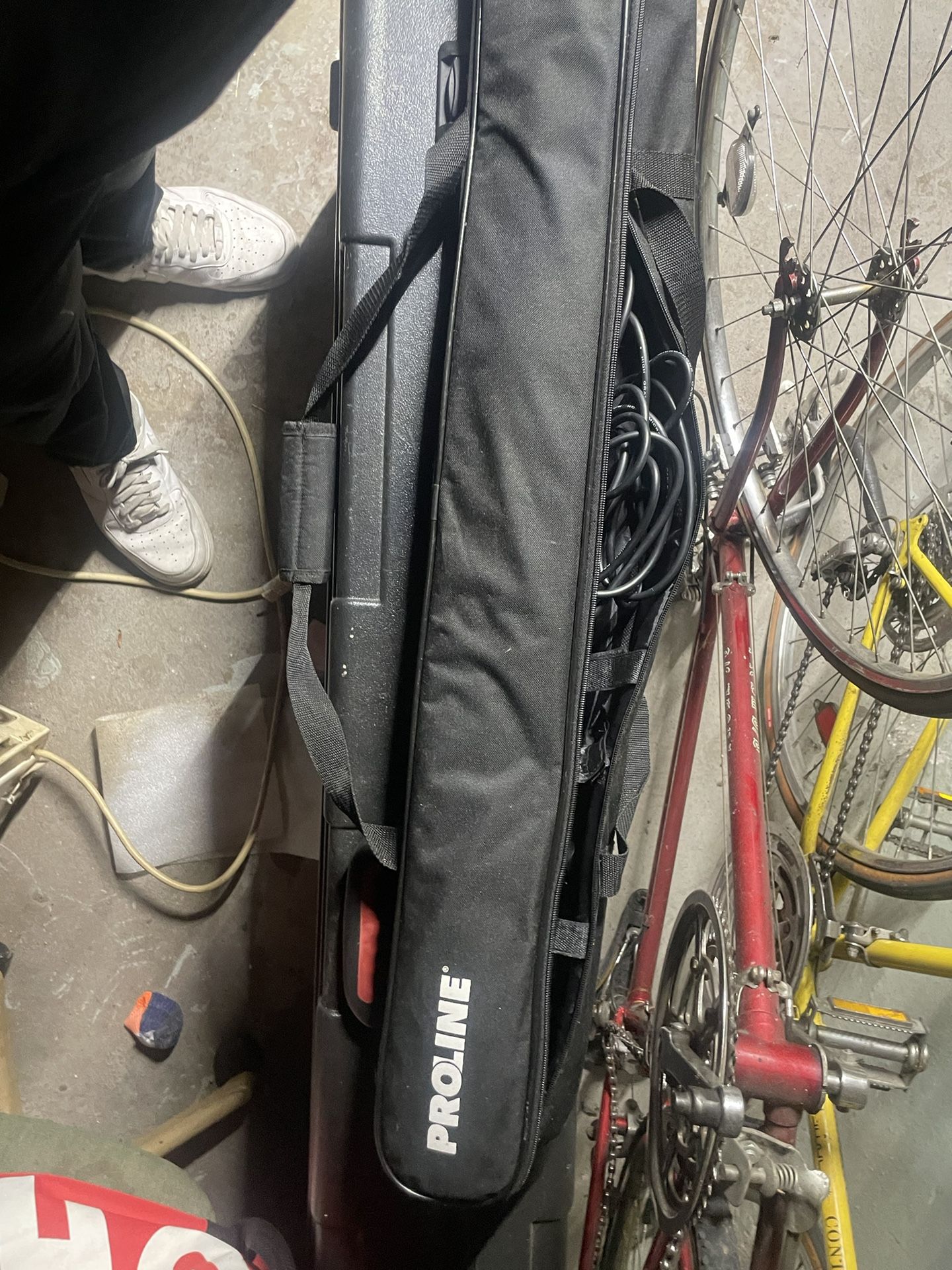 Proline Mic And Stand
