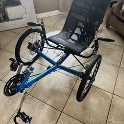 Adult tricycle WizWheelz