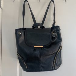 Black Purse/Backpack 