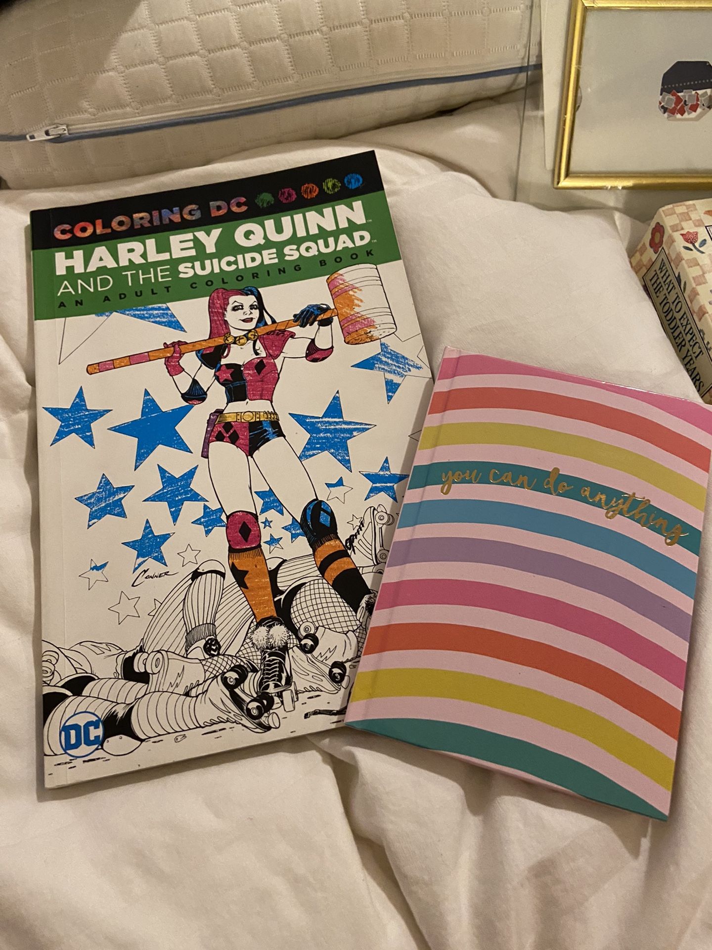 Harley Quinn Coloring Book
