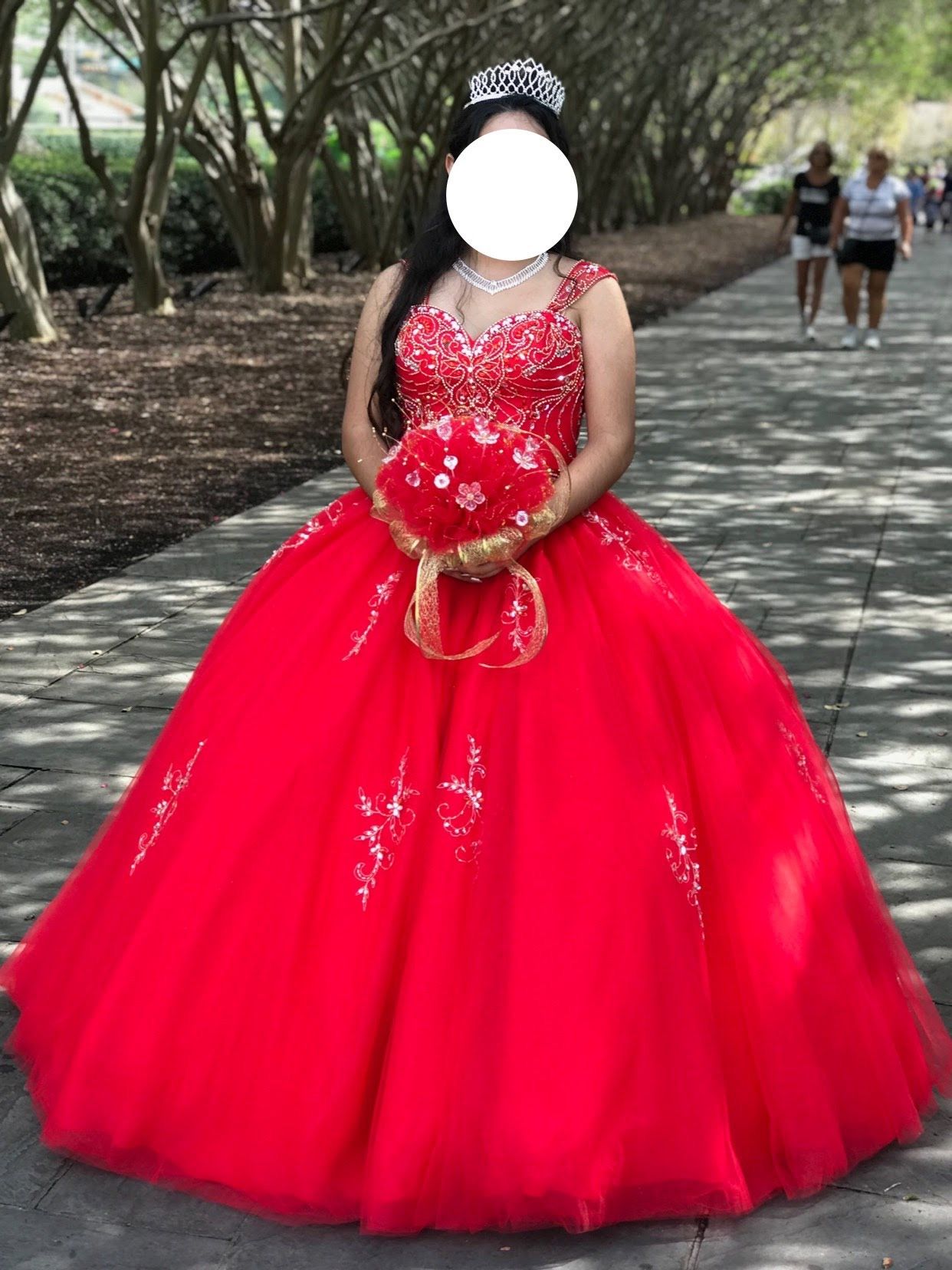 Quinceañera/ Sweet 16 Dress