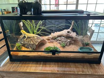 40 gallon terrarium and other supplies