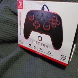 Nintendo Switch Controller