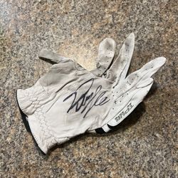 PGA Autographed Gold Glove