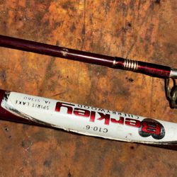 Vintage Rod and Reel