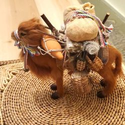 Camel
