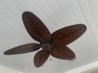 Outdoor Fans