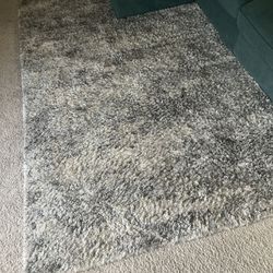 Living Room Carpet 
