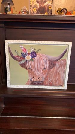 Highland Cow