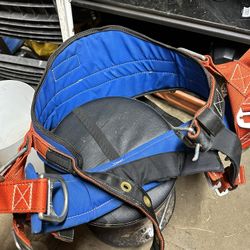 Climbing Harness Buckingham