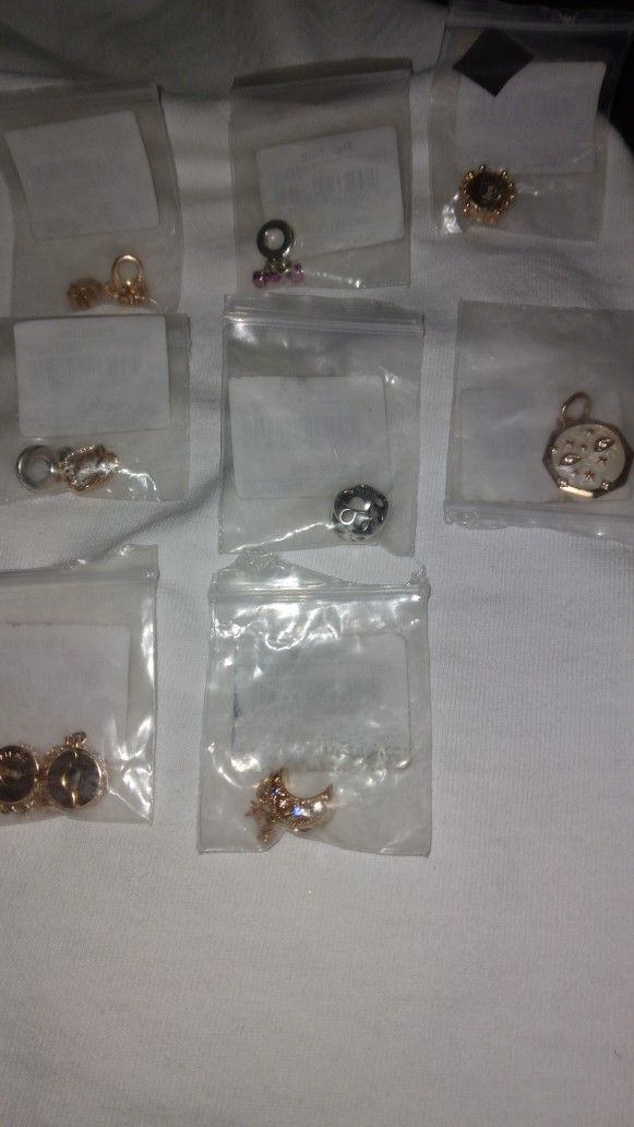 New Pandora's Charms New For $35 Each