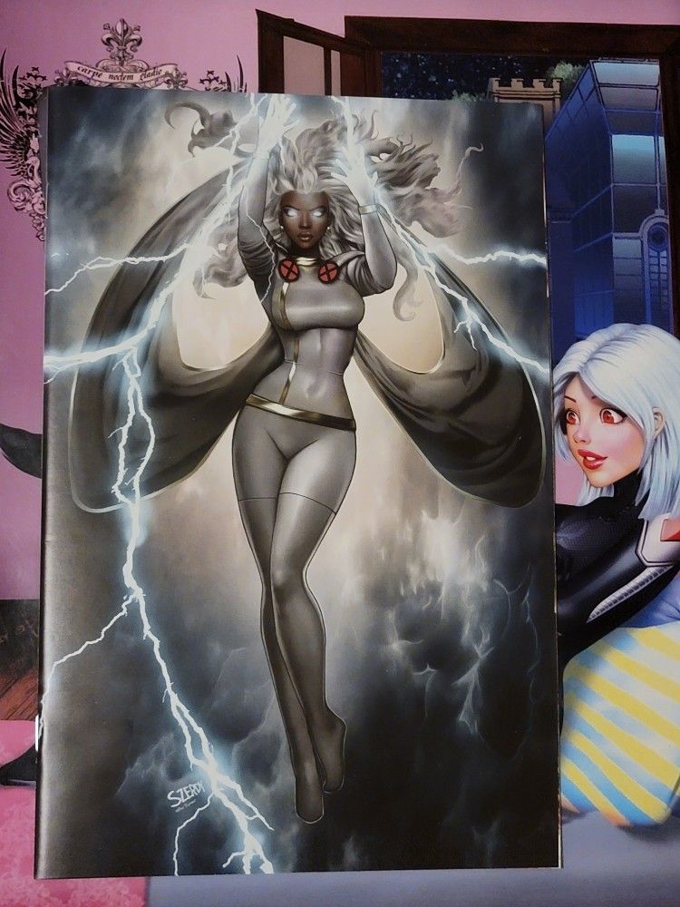 Storm #1 (Comic Book) 🌋🐅🌋