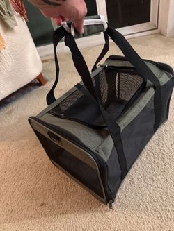 Small animals / cat carrier