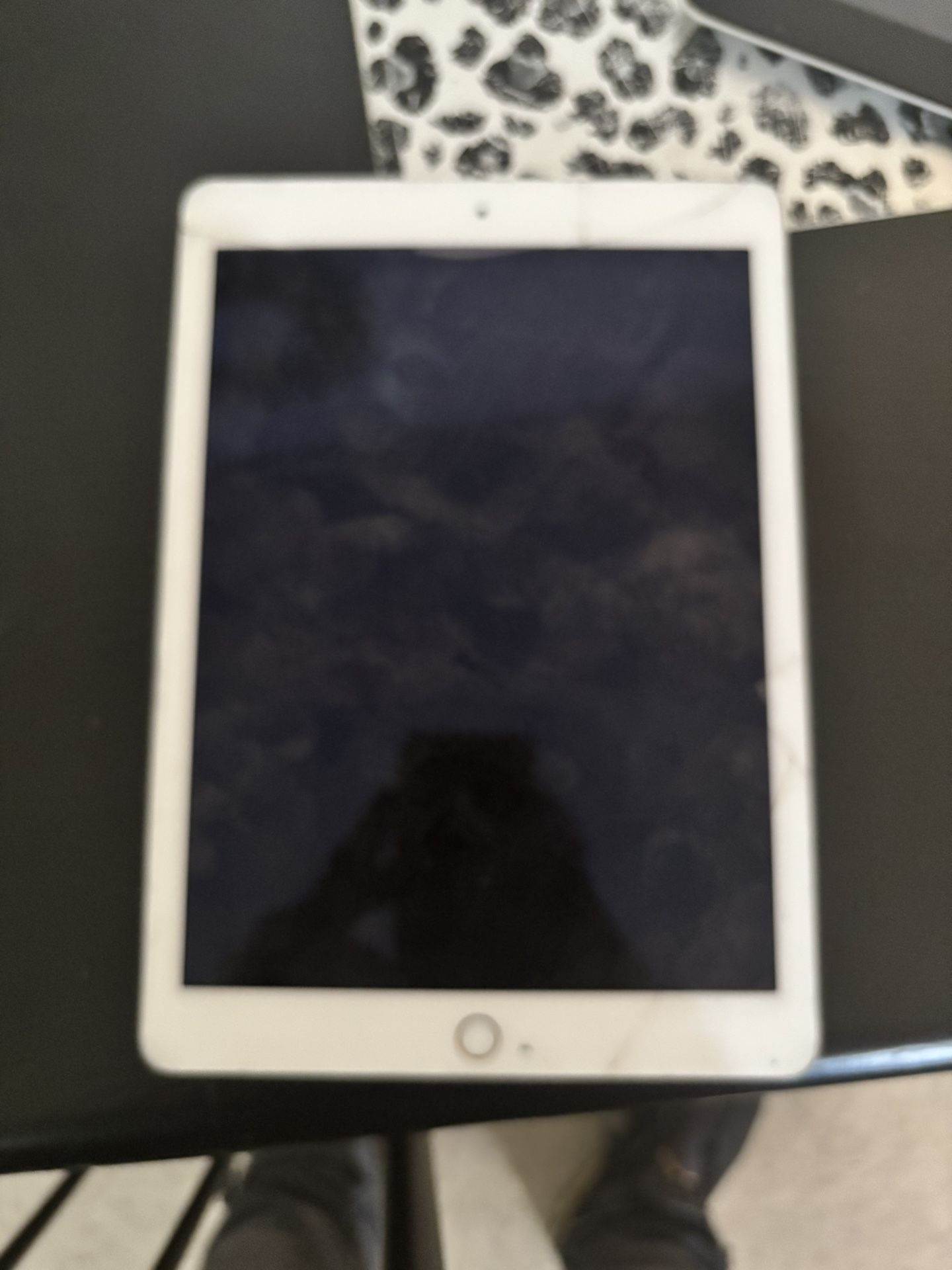 iPad Mini 2