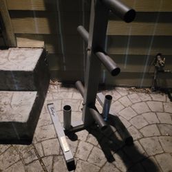 body Solid Weights rack 💪