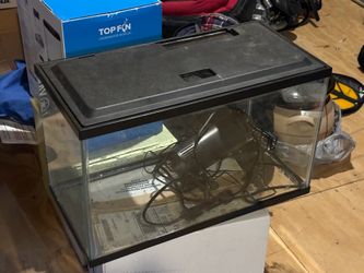 Large Fish tank