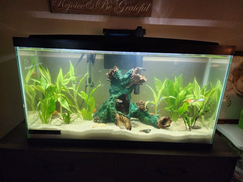 17 Gallon Aqueon Aquarium