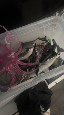 Ocean Animals