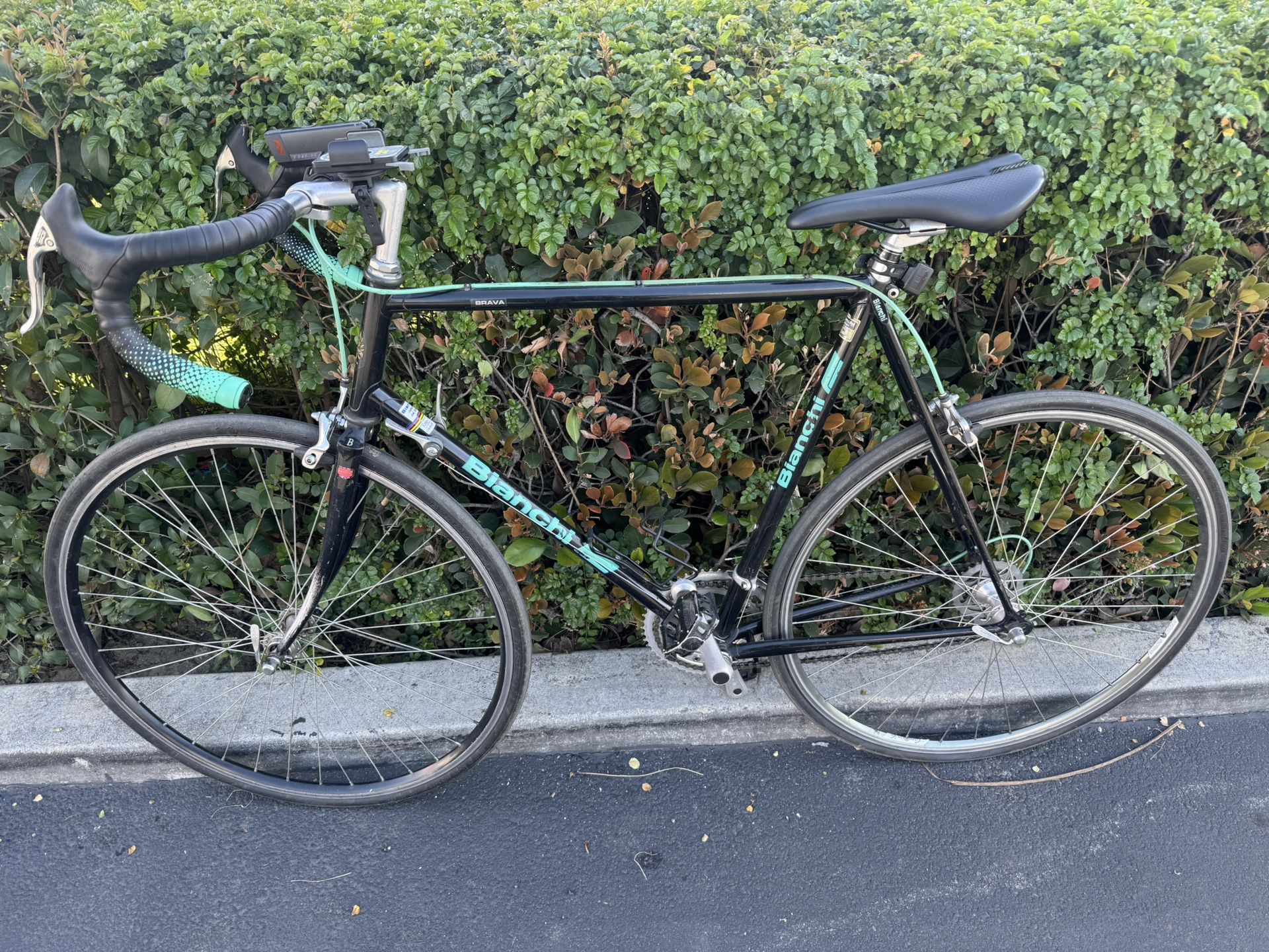 Bianchi Road Bike