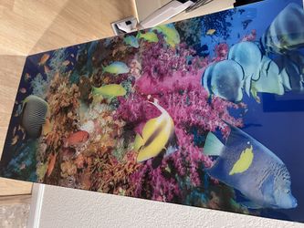 Yosemite Home Decor- Tempered Glass Sea Life