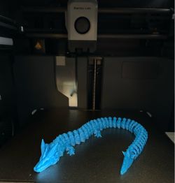 3D PRINTED DRAGON