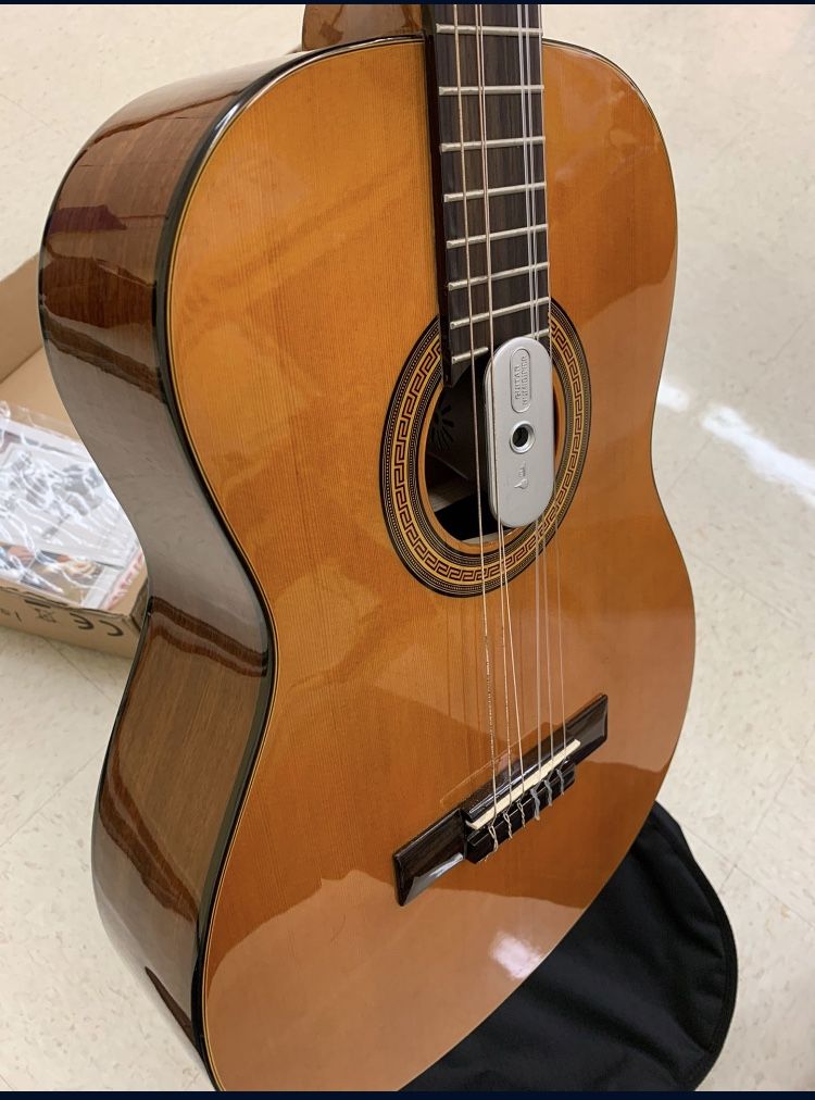 BRAND NEW Epiphone Acoustic Guitar 🎸