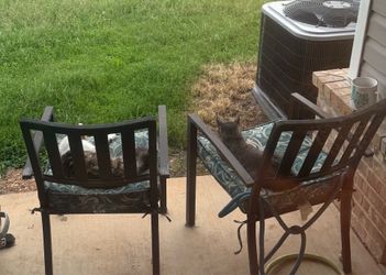 Patio chairs  for both $35.00