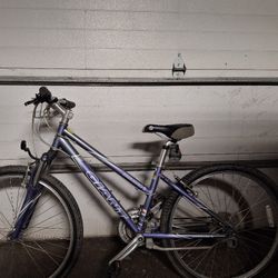 bicycle giant purple
