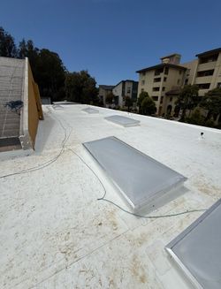 PVC/TPO single ply Roofs